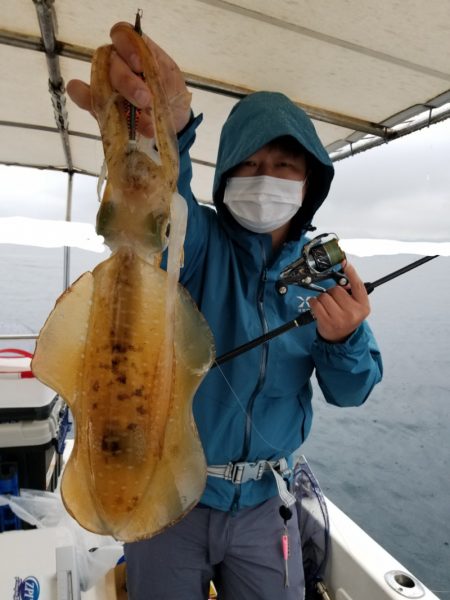 ソルトウォーターガイドフレンズ 釣果