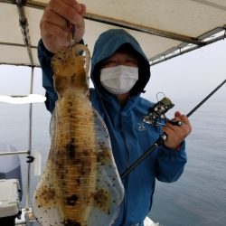 ソルトウォーターガイドフレンズ 釣果