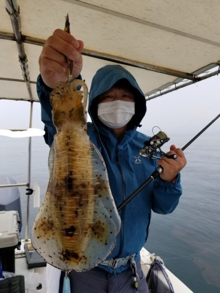 ソルトウォーターガイドフレンズ 釣果