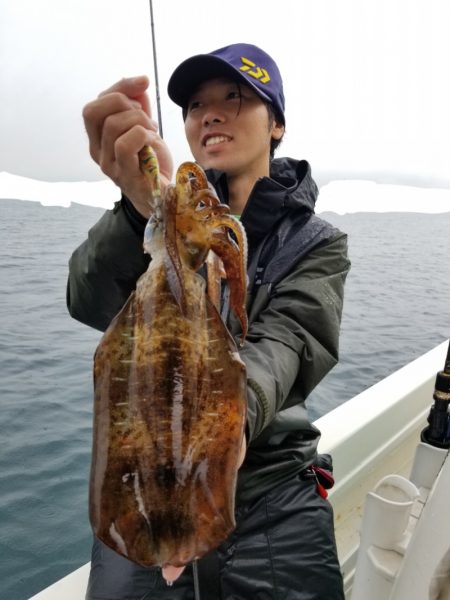 ソルトウォーターガイドフレンズ 釣果