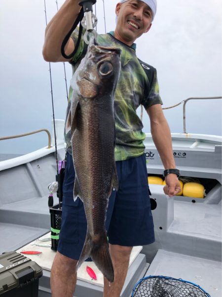 ＴＡＲＯＭＡＲＵ 釣果