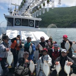 シーランチ 釣果