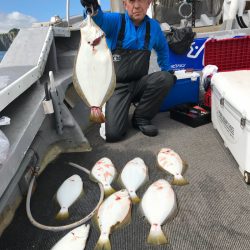 シーランチ 釣果