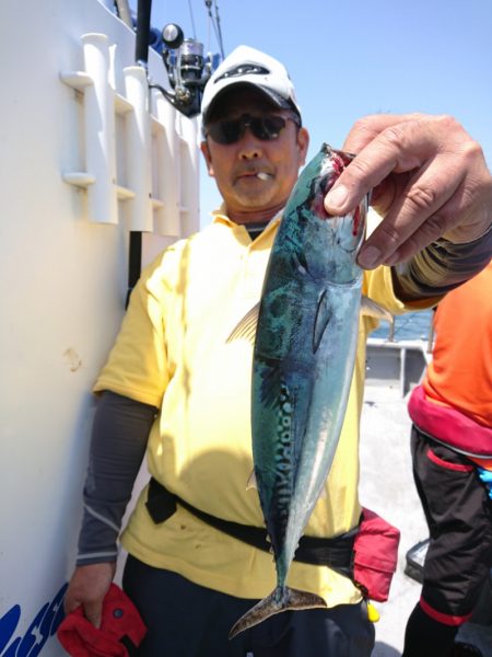 ありもと丸 釣果