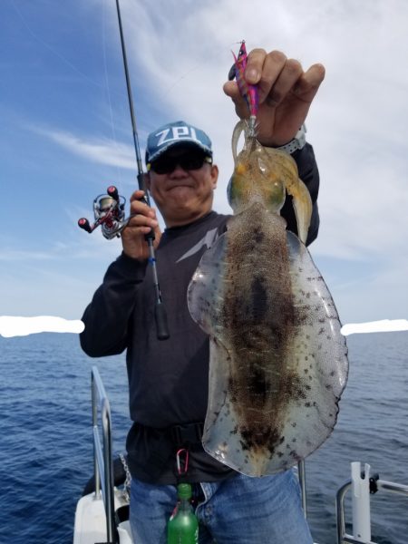 ソルトウォーターガイドフレンズ 釣果