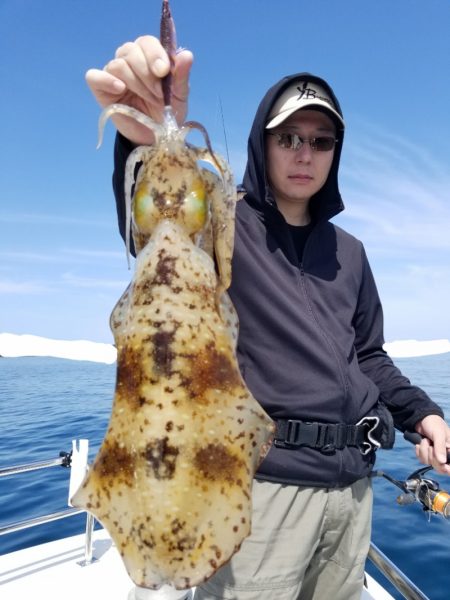 ソルトウォーターガイドフレンズ 釣果