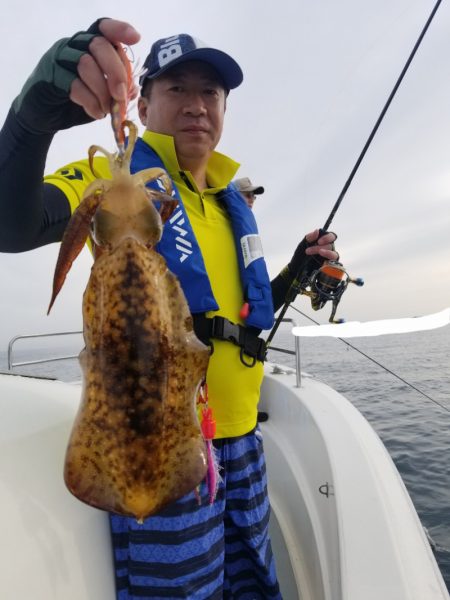 ソルトウォーターガイドフレンズ 釣果