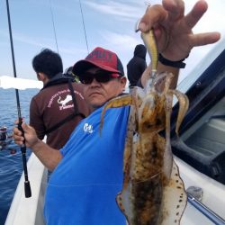 ソルトウォーターガイドフレンズ 釣果