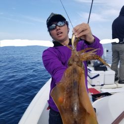 ソルトウォーターガイドフレンズ 釣果