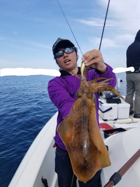 ソルトウォーターガイドフレンズ 釣果