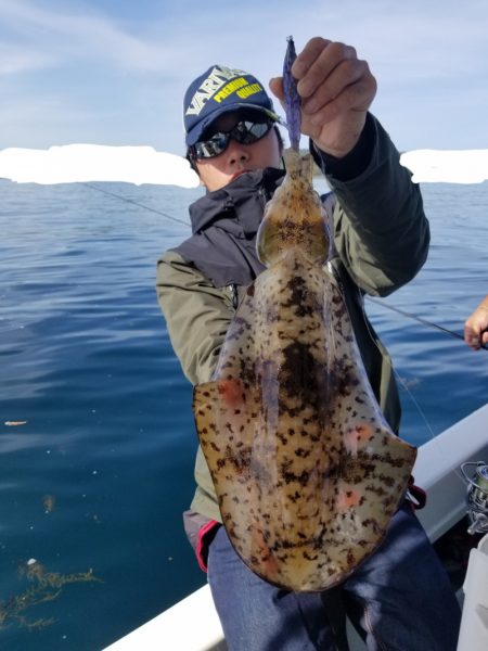 ソルトウォーターガイドフレンズ 釣果