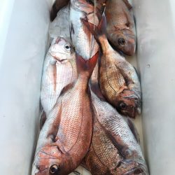 第二八坂丸 釣果