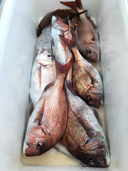 第二八坂丸 釣果