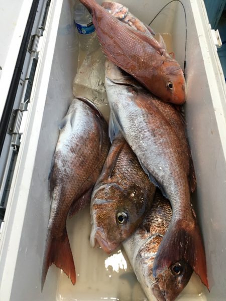 第二八坂丸 釣果