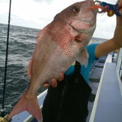 新幸丸 釣果