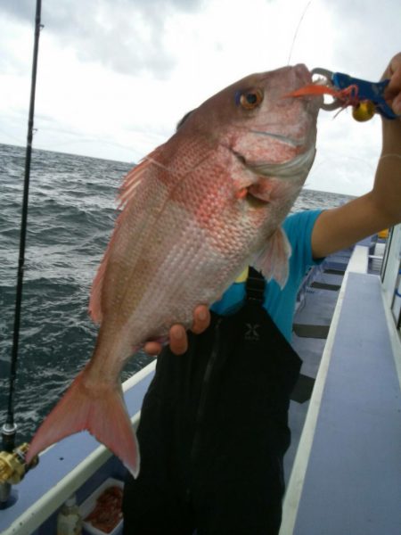 新幸丸 釣果