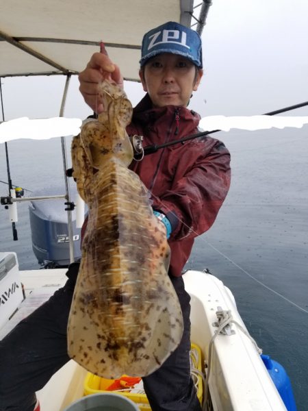 ソルトウォーターガイドフレンズ 釣果