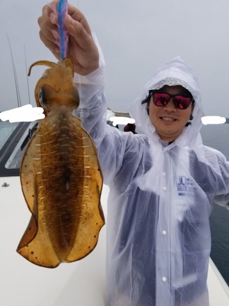 ソルトウォーターガイドフレンズ 釣果