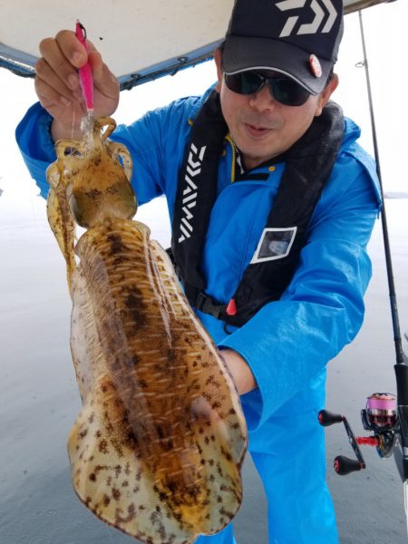 ソルトウォーターガイドフレンズ 釣果