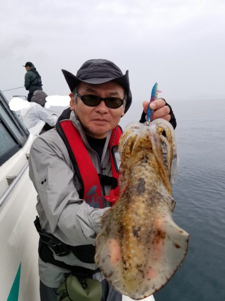 ソルトウォーターガイドフレンズ 釣果