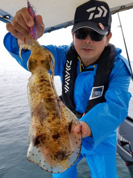 ソルトウォーターガイドフレンズ 釣果