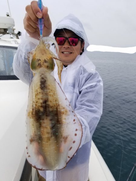 ソルトウォーターガイドフレンズ 釣果