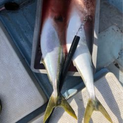 あみや渡船 JIGBOY 釣果