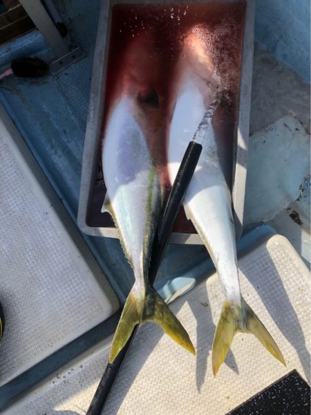 あみや渡船 JIGBOY 釣果