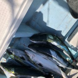 あみや渡船 JIGBOY 釣果