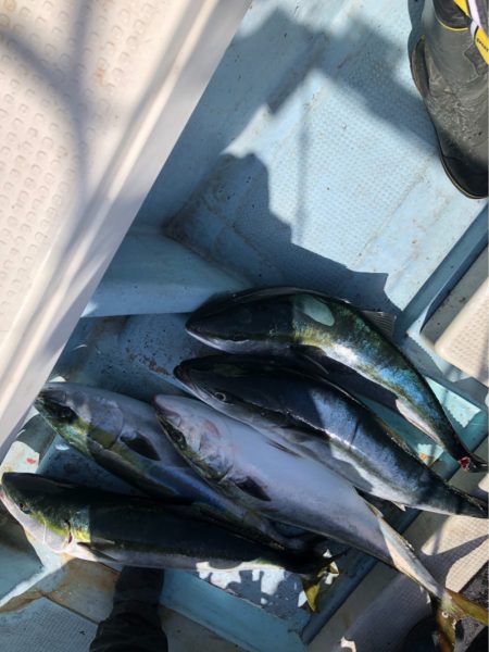 あみや渡船 JIGBOY 釣果