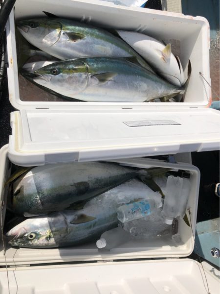 あみや渡船 JIGBOY 釣果