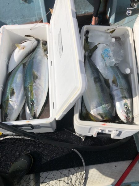 あみや渡船 JIGBOY 釣果