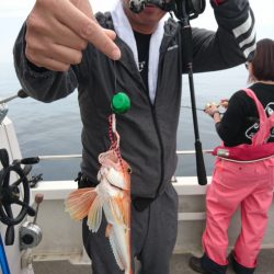 ARCADIAⅡ (アルカディアⅡ) 釣果