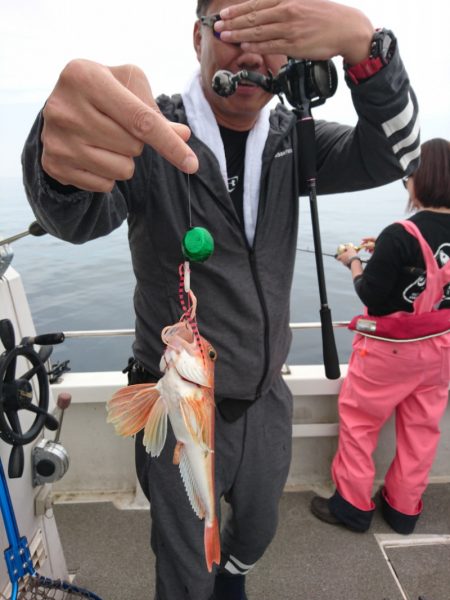 ARCADIAⅡ (アルカディアⅡ) 釣果