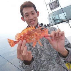 ARCADIAⅡ (アルカディアⅡ) 釣果