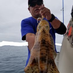 ソルトウォーターガイドフレンズ 釣果