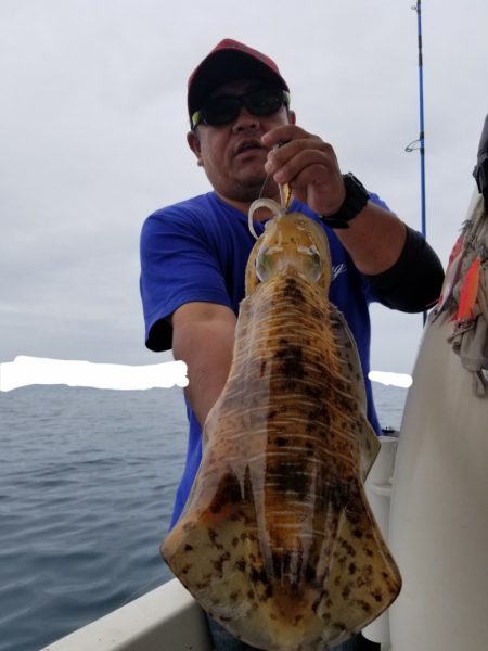 ソルトウォーターガイドフレンズ 釣果