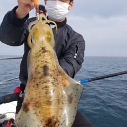 ソルトウォーターガイドフレンズ 釣果