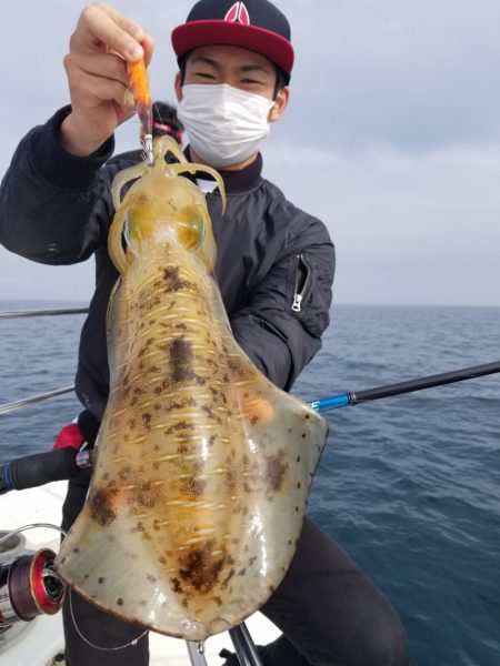 ソルトウォーターガイドフレンズ 釣果