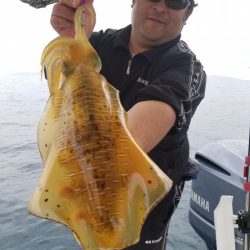 ソルトウォーターガイドフレンズ 釣果