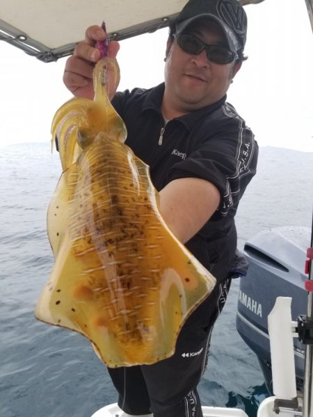 ソルトウォーターガイドフレンズ 釣果