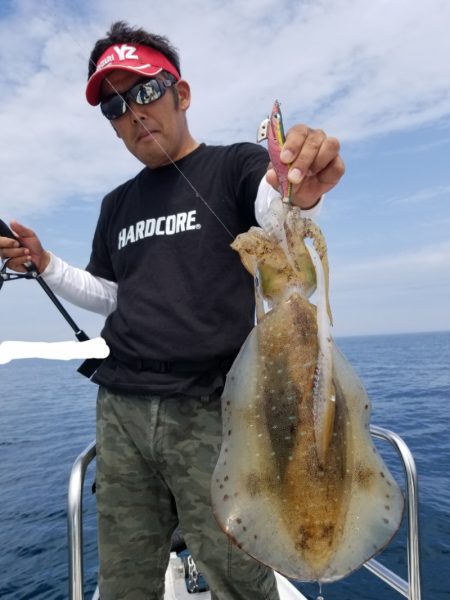 ソルトウォーターガイドフレンズ 釣果