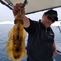 ソルトウォーターガイドフレンズ 釣果