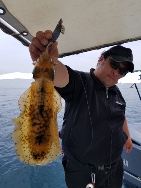 ソルトウォーターガイドフレンズ 釣果