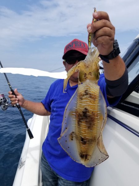 ソルトウォーターガイドフレンズ 釣果