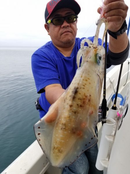 ソルトウォーターガイドフレンズ 釣果