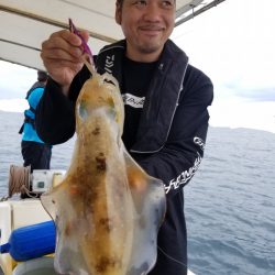 ソルトウォーターガイドフレンズ 釣果