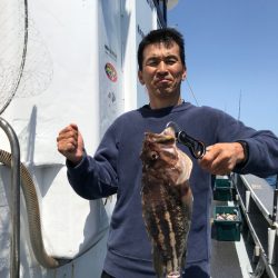 シーランチ 釣果