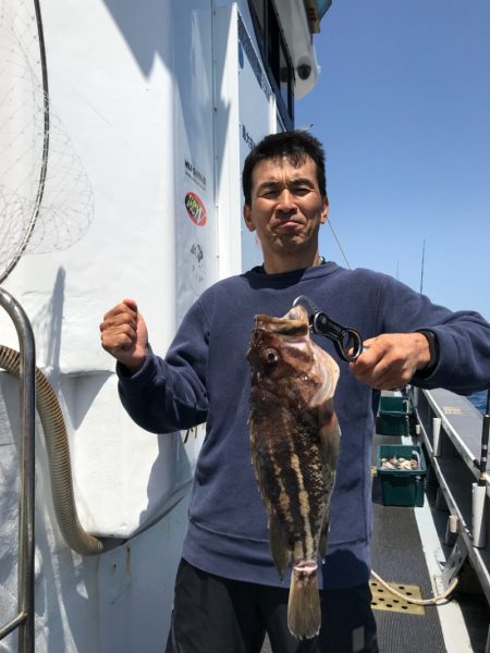 シーランチ 釣果