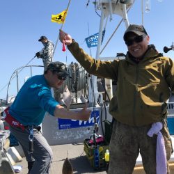 シーランチ 釣果